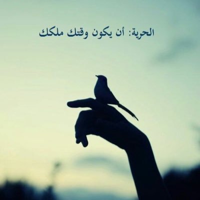 oxygen4om's profile picture. 