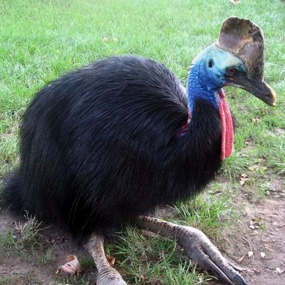 PeroCree's profile picture. supongo que artista 
genero:pendejo 
contenido subido de tono 
sfw tambien 🗣🗣