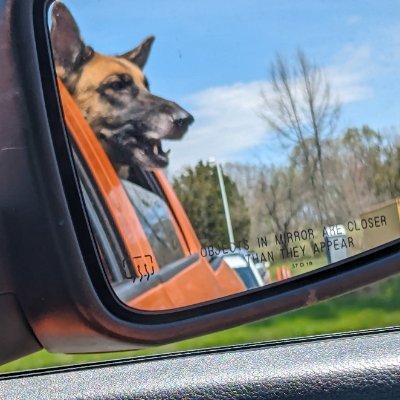 50egl's profile picture. PulseChain  PulseX Hex 👀🔥🔥