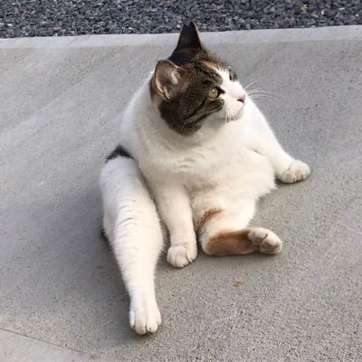 すずさんのプロフィール画像