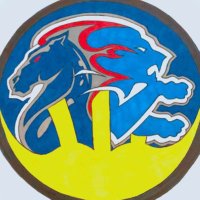 StoneyWolverine (@stoneywolverine) 's Twitter Profile