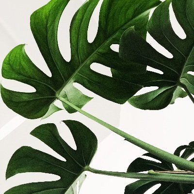 DWOK73mu7k97674's profile picture. 