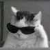 Kucing Moden (@_kucingmoden) Twitter profile photo Kucing Moden (@_kucingmoden) Twitter profile photo