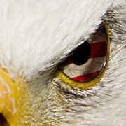 Red_Storm2024's profile picture. Rebooting @Dept_of_Just_Us. Digital Soldier, Meme maker.
Gen X father of 2 taking America back. 
Wooden spoon survivor. WWG1WGA 🐸🇺🇸
Vincit omnia veritas