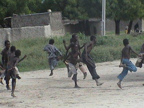 shaftweet10's profile picture. Liberal; Retweets not endorsement