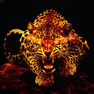 XCNZX2hfWv16183's profile picture. 𝐖𝐞𝐛𝟑 / 𝑻𝒆𝒄𝒉