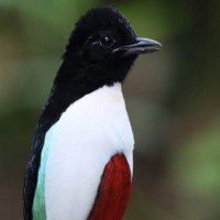 Yaniv (@yanivst) 's Twitter Profile