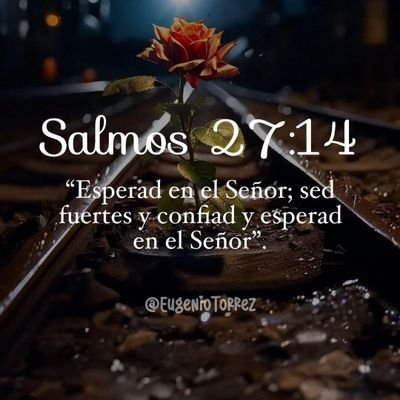 MehdiBenem78113's profile picture. 🇲🇦🇵🇱🇨🇦 Award nominated documentary photographer | AI conductor | Exhibited in Paris, Kuwait, NYC, LA, Bali, Beijing … | Karavan $KRVN