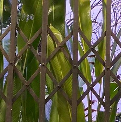 hanloiii's profile picture. 