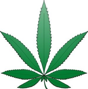LegalizeITinc's profile picture. Follow us on Twitter to help legalize marijuana in the United States and everywhere else in the world!
