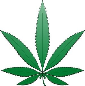 Follow us on Twitter to help legalize marijuana in the United States and everywhere else in the world!