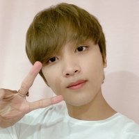 네다 (@cxxlneda) 's Twitter Profile