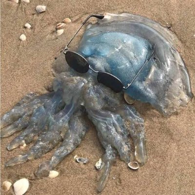 Aaronさんのプロフィール画像