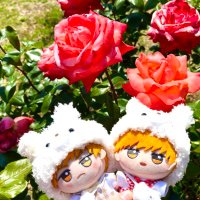 🐈meineko🐈 (@meineko_mipo) Twitter profile photo
