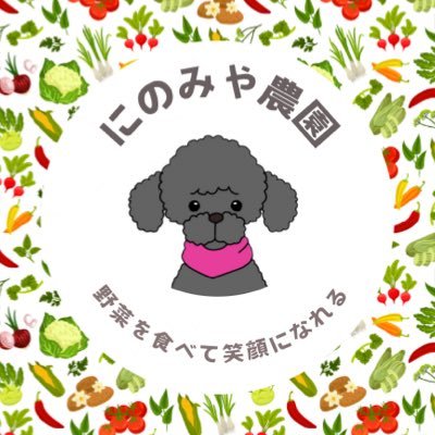 にのみや農園(🍅🥒🧅)さんのプロフィール画像