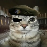 CXLIII (@cxliii34) 's Twitter Profile