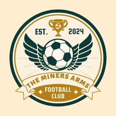 @DDSLFOOTBALL #TheMinersfc Est. 2013... Account is in no way associated to the official running of The Miners FC