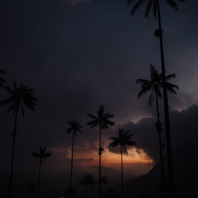 ArataRin182610's profile picture. 𝕏 Growth Mentor | Grew my Twitter audience from ZERO to 500k in less than 2 years. 10x your X brand and online business ↓