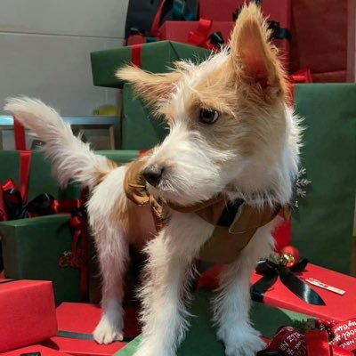 Vickyarevictory's profile picture. All For ParkChaeyoung