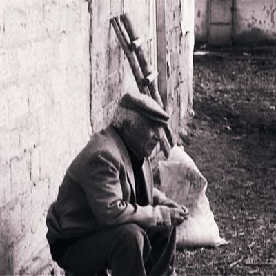nosferatuhasan's profile picture. cevabı dostum rüzgarda bunun