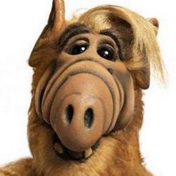 Olivier_Vicenza's profile picture. in me speraverunt,
non sunt confusi.