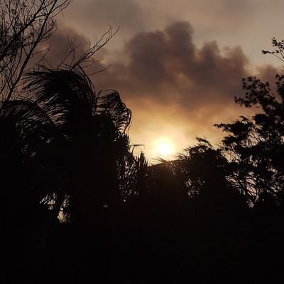 darkclouds997's profile picture. 💀