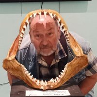 PAWEŁ Leon (@leon_pawe) 's Twitter Profile