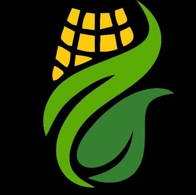 CornfieldsInv's profile picture. Farming | Tobacco| Entrepreneurship |Technology