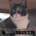 へっぷす (@wq0rikcp6a18689) Twitter profile photo へっぷす (@wq0rikcp6a18689) Twitter profile photo