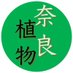 奈良植物研究会🌿 Botanical Society of Nara (@narabotany) Twitter profile photo 奈良植物研究会🌿 Botanical Society of Nara (@narabotany) Twitter profile photo