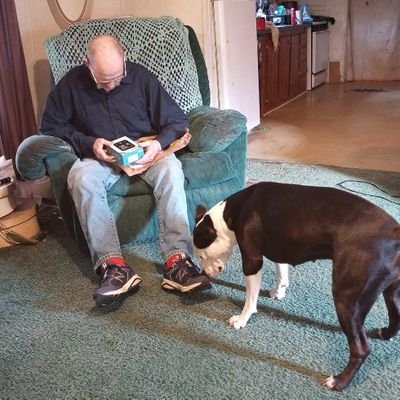 yeliaBddiK's profile picture. Unknown