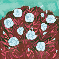 Rahul Sen (@rahulsen11635) 's Twitter Profile Photo