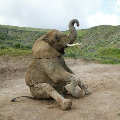 NBluai80950's profile picture. God first