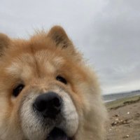 明け方の君 (@onyourmark_c_a) 's Twitter Profile