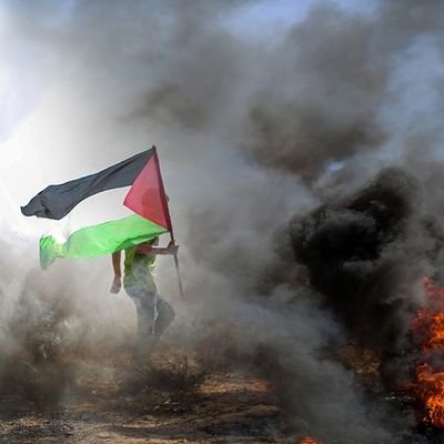 matto340's profile picture. 