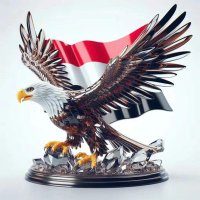الرعد الشمالي (@rdalshmal56) 's Twitter Profile
