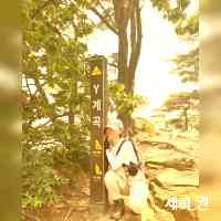 세희 권 (@sehekwon) 's Twitter Profile