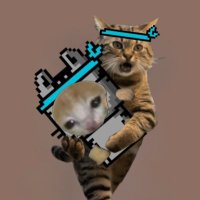 curry_yang (@curry_yang_) 's Twitter Profile