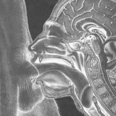 facefuckrj's profile picture. 