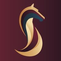 SAS_ (@sas_aoe) 's Twitter Profile