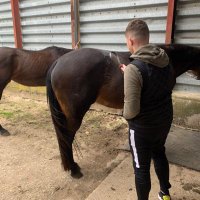 Anthony Bulmer (@anthony_bulmer) 's Twitter Profile Photo