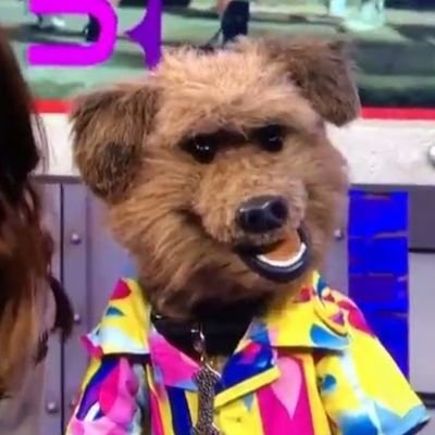 GlauMartarello's profile picture. Desfiles deste solo és mãe gentil