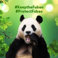 푸키퍼푸진 (@fukeeperfujin) 's Twitter Profile