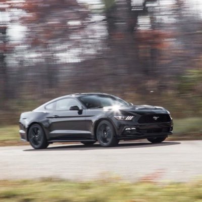 Goccja's profile picture. 🇮🇹