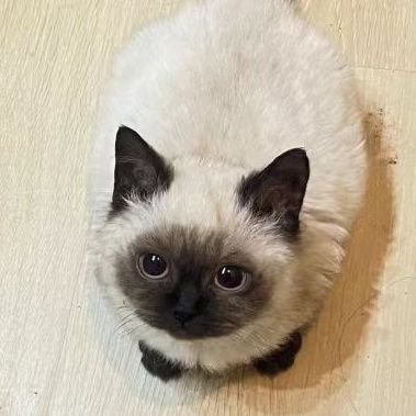 몽땅さんのプロフィール画像
