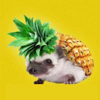 nobono green ing (@nobono_green) Twitter profile photo