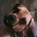 Jackie March - @JacquelineMarch - Twitter