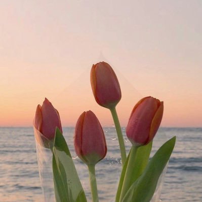 bananasand_'s profile picture. 