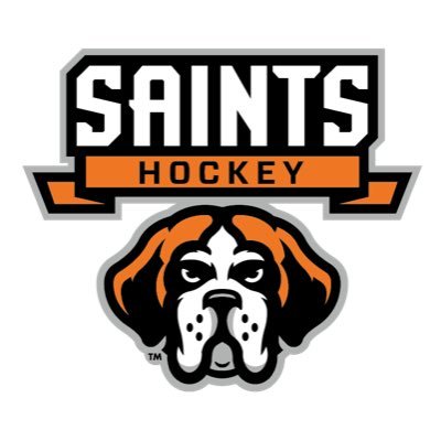 Churchville-Chili varsity hockey team.