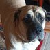 Bella's mom (@blanton_lesa) Twitter profile photo Bella's mom (@blanton_lesa) Twitter profile photo